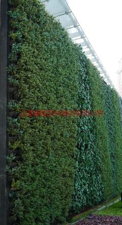 上海康馨园林 专业绿化工程养护与施工，打造城市立体生态空间