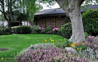 探寻厦门优质园林绿化工程与专业施工公司指南