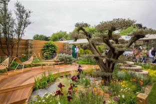 景观园林设计 从蓝图到绿意盎然的施工全流程解析